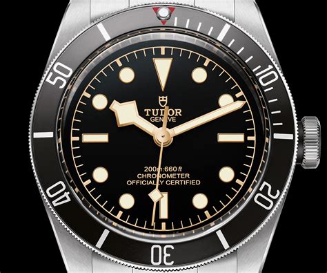 tudor black bay 79230|tudor black bay watch price.